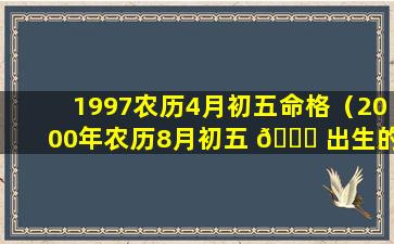 1997农历4月初五命格（2000年农历8月初五 🐋 出生的孩子命格）